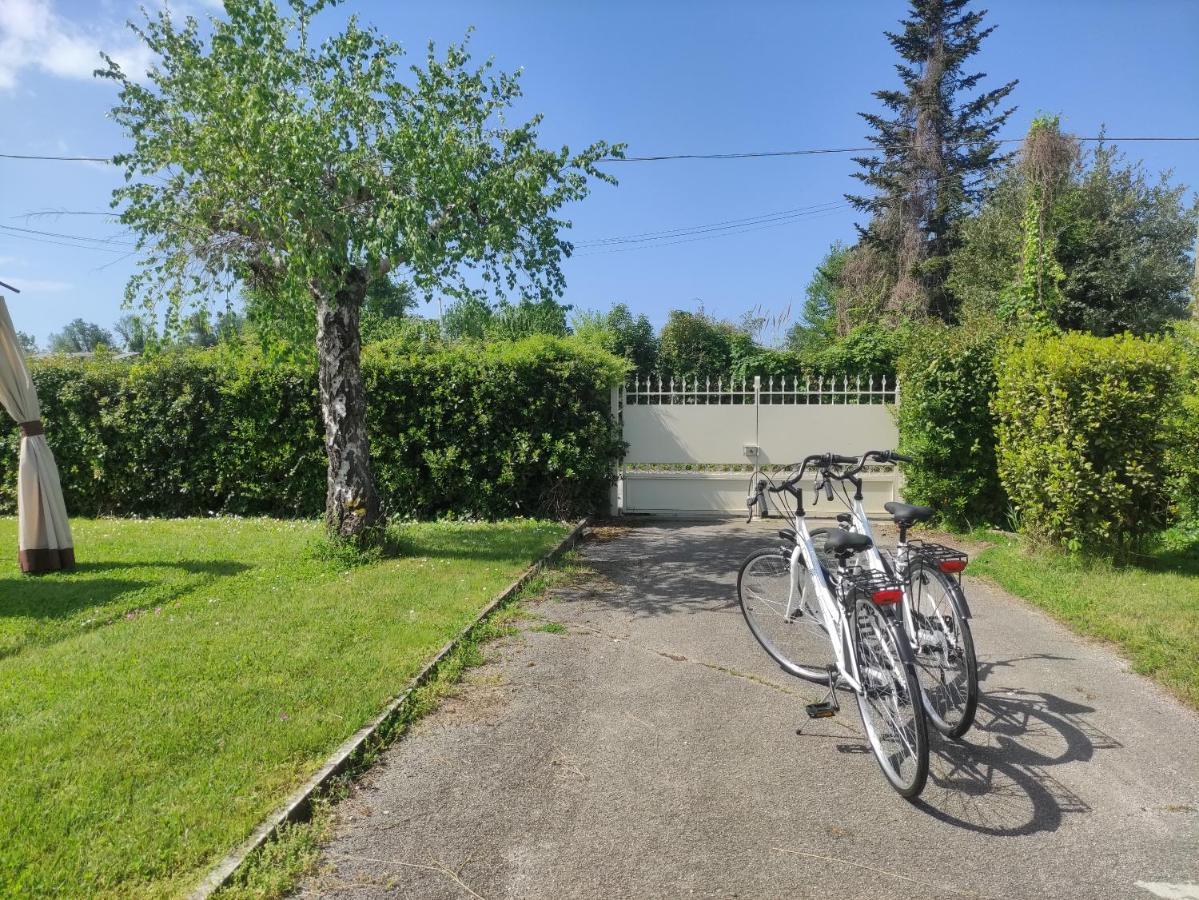 La Mimosa Chic Bed & Breakfast Pietrasanta Exterior photo