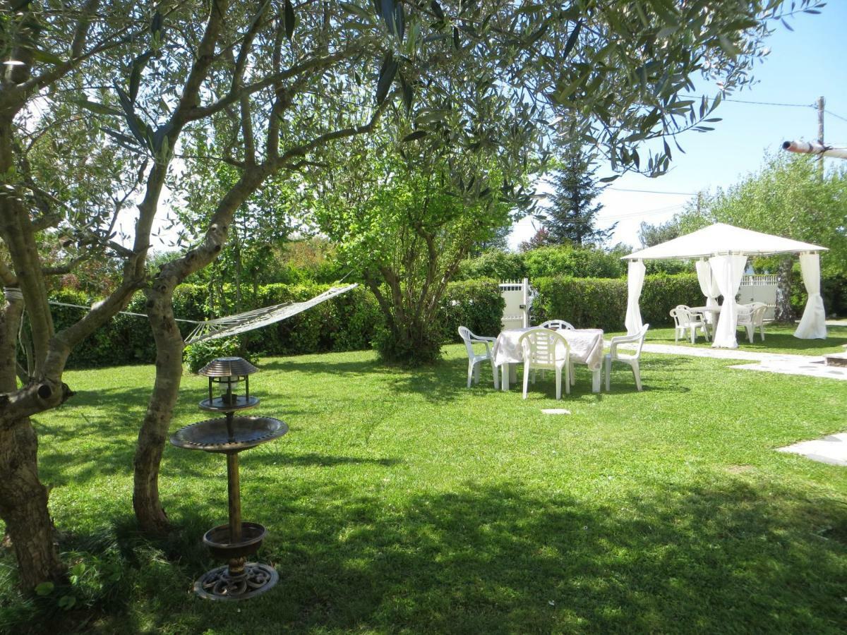 La Mimosa Chic Bed & Breakfast Pietrasanta Exterior photo