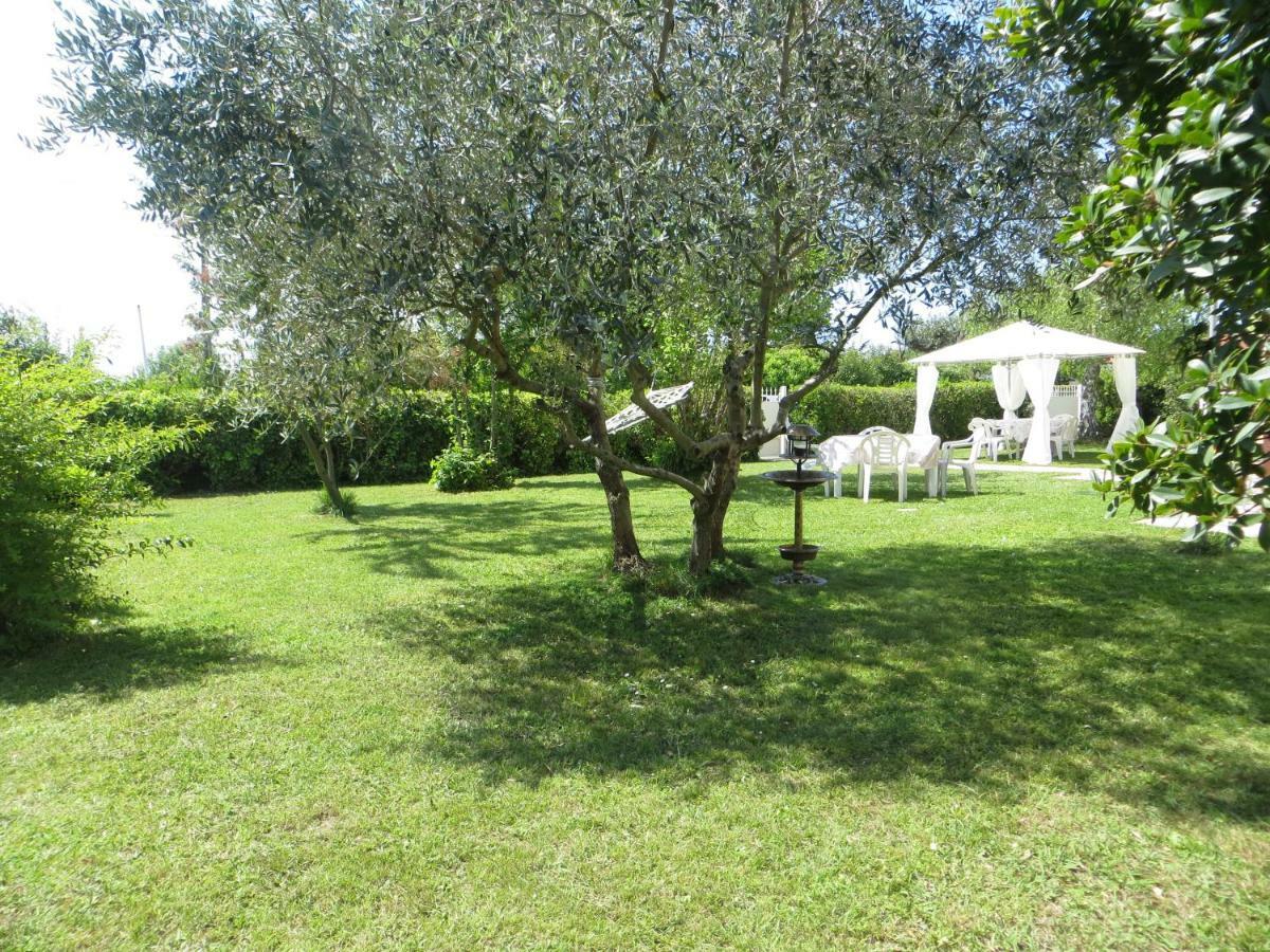 La Mimosa Chic Bed & Breakfast Pietrasanta Exterior photo